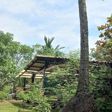 Las Lajas Beach Resort Exterior photo