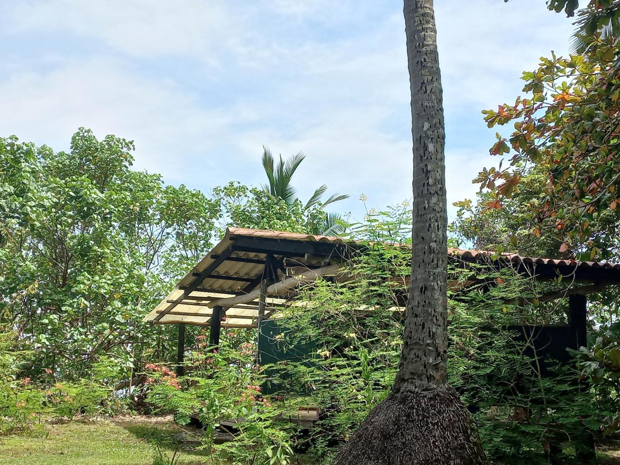 Las Lajas Beach Resort Exterior photo